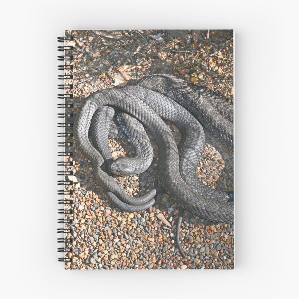 Item preview, Two snakes designed and sold by Doug Cliff.