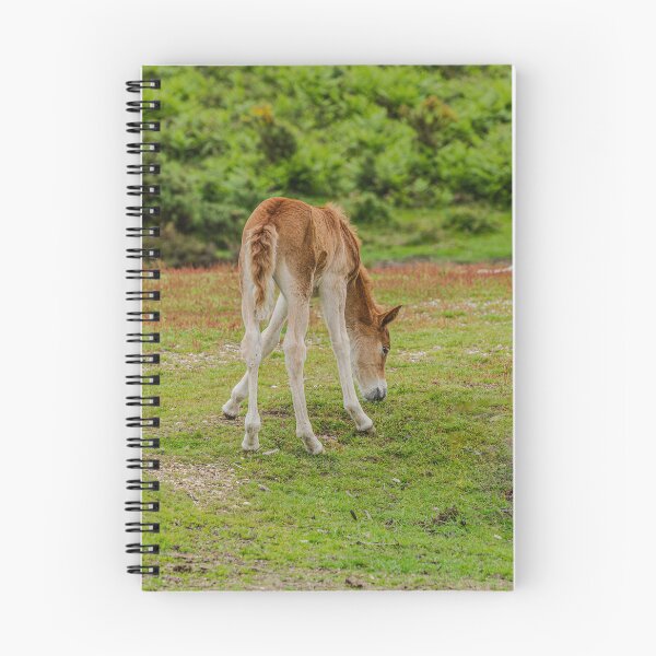 Item preview, Pony tail designed and sold by Dalyndigital Photography.
