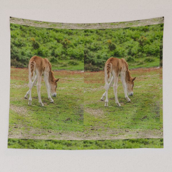Item preview, Pony tail designed and sold by Dalyndigital Photography.