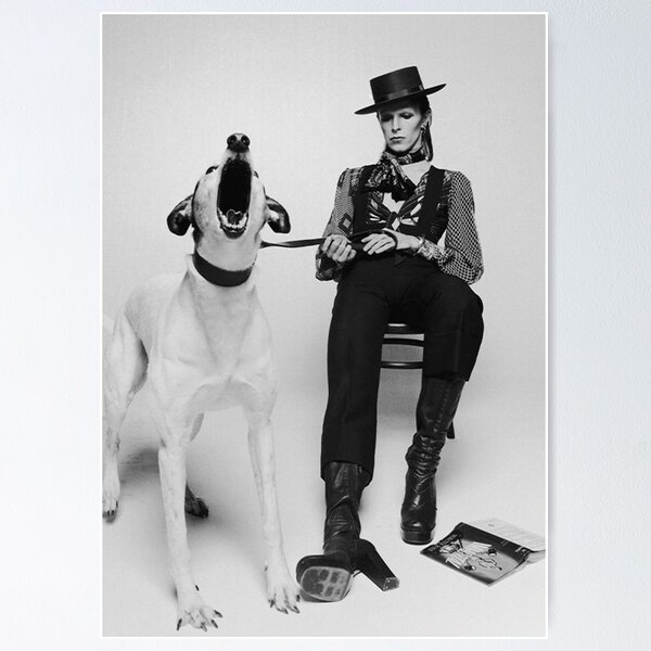 Item preview, For Diamond Dogs designed and sold by Melvinwilsone.