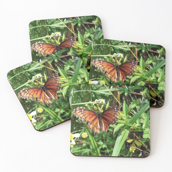 Item preview, Monarch Butterfly designed and sold by MercerImages.