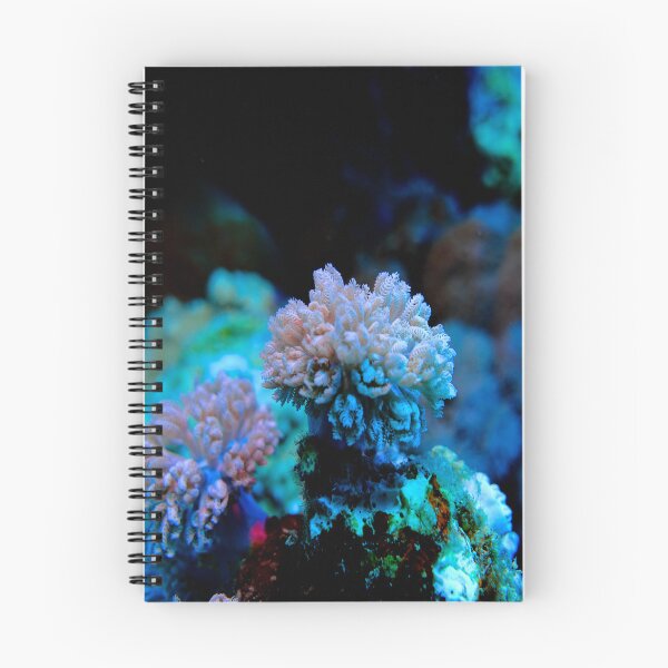 Item preview, Lilac Purpple Floral Succulent Coral from Marsa Alam Vibrant Coral Reef designed and sold by Ahmed ElMekawy.
