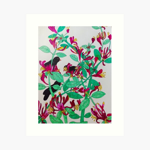 Trumpets of Honey, trumpet honeysuckle, Canvas print cheapest