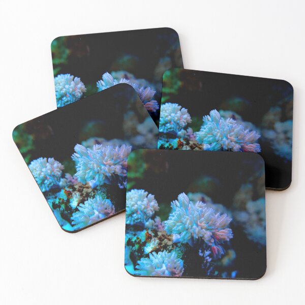 Item preview, Lilac Purple succulent Corals with Floral Pattern from the Vibrant Coral Reef of Marsa Alam, Red Sea Egypt designed and sold by Ahmed ElMekawy.