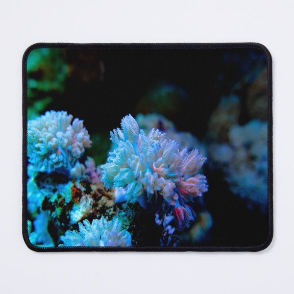 Item preview, Lilac Purple succulent Corals with Floral Pattern from the Vibrant Coral Reef of Marsa Alam, Red Sea Egypt designed and sold by Ahmed ElMekawy.