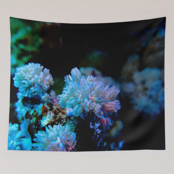 Item preview, Lilac Purple succulent Corals with Floral Pattern from the Vibrant Coral Reef of Marsa Alam, Red Sea Egypt designed and sold by Ahmed ElMekawy.