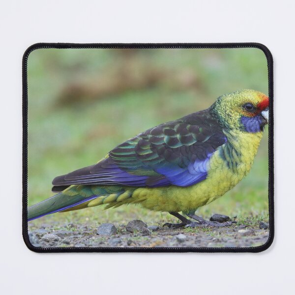 Item preview, Green Rosella from Tasmania, Australia designed and sold by Seesee.