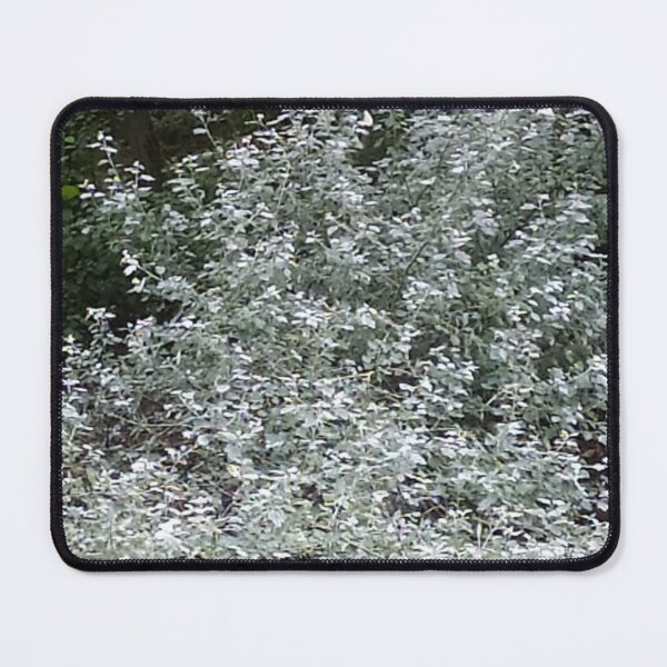 Item preview, Silver leaves designed and sold by CreativeWorld96.