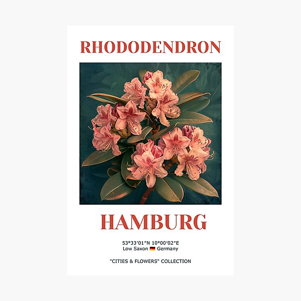 Hamburg Germany Travel Wall Art. Rhododendron Flowers. Photographic Print
