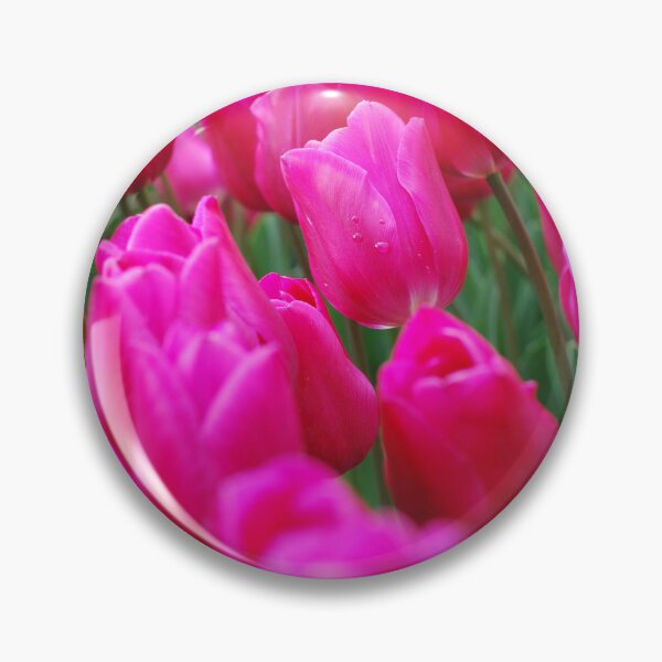 Item preview, Gorgeous Pink Tulips  designed and sold by LJarts.