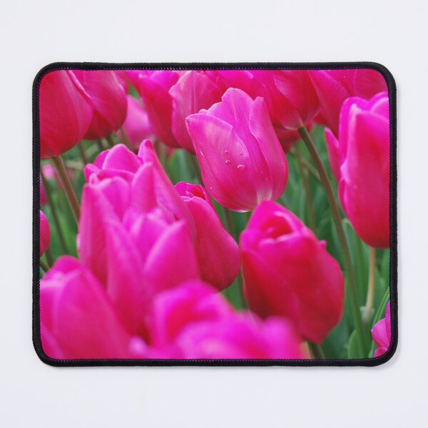 Item preview, Gorgeous Pink Tulips  designed and sold by LJarts.