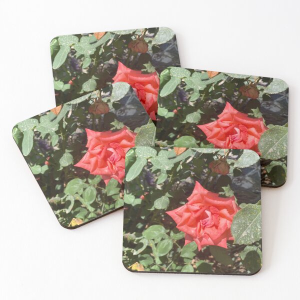 Item preview, Spring has Sprung designed and sold by ZeroTechnique.