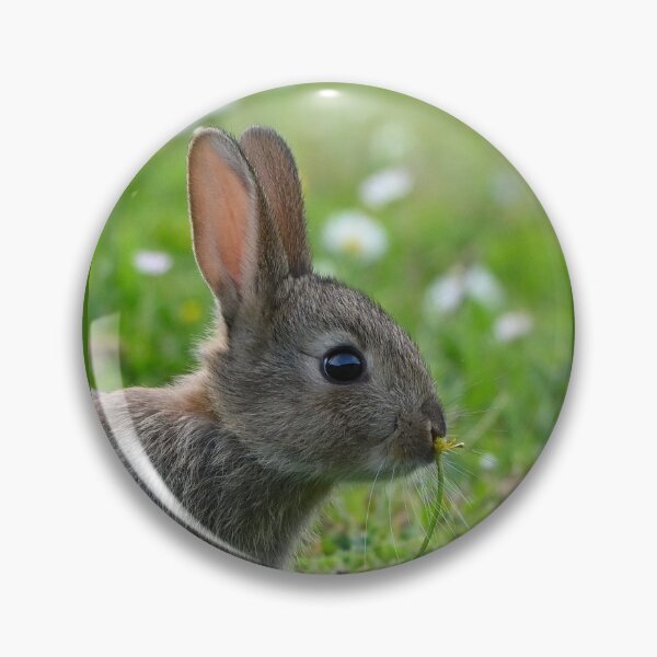 Item preview, baby bunny with buttercup designed and sold by ClaireChown.