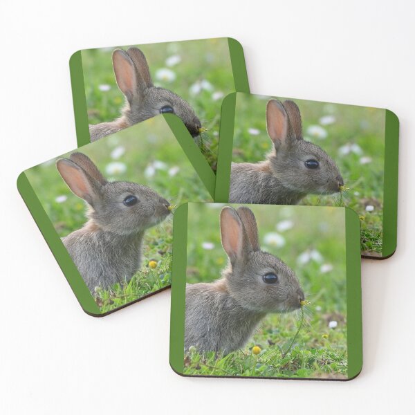 Item preview, baby bunny with buttercup designed and sold by ClaireChown.