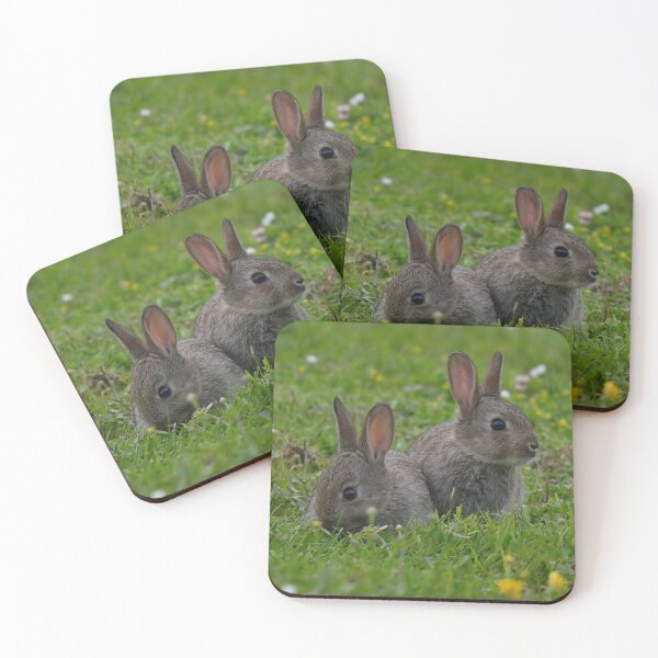 Item preview, Cute baby bunnies designed and sold by ClaireChown.