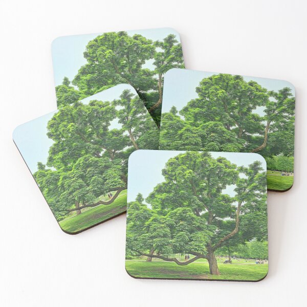 Item preview, # 09 Vondelpark - Amsterdam Street Photography 22 May 2024 designed and sold by IntFix.