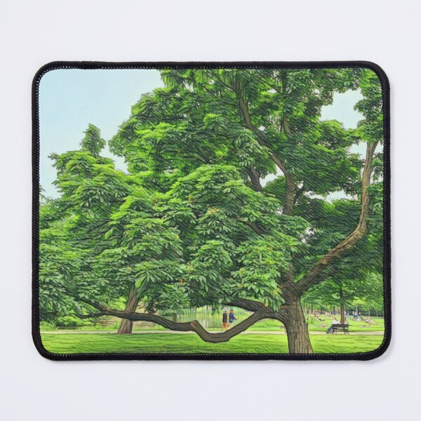 Item preview, # 09 Vondelpark - Amsterdam Street Photography 22 May 2024 designed and sold by IntFix.