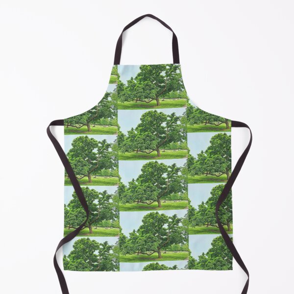 Item preview, # 09 Vondelpark - Amsterdam Street Photography 22 May 2024 designed and sold by IntFix.