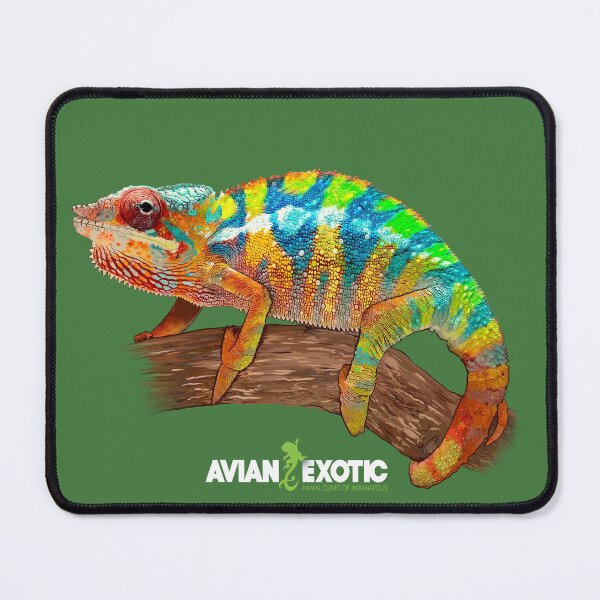 Item preview, Chameleon designed and sold by exoticvetclinic.