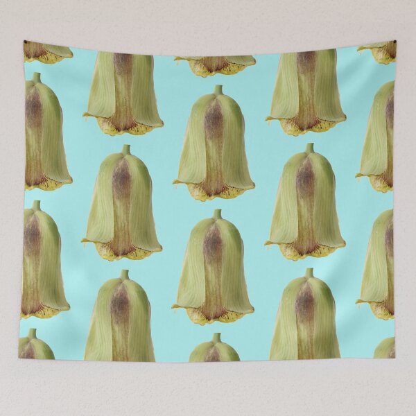Item preview,  Fritillaria acmopetala AGM Pointed-petal fritillary designed and sold by Chris Burrows.