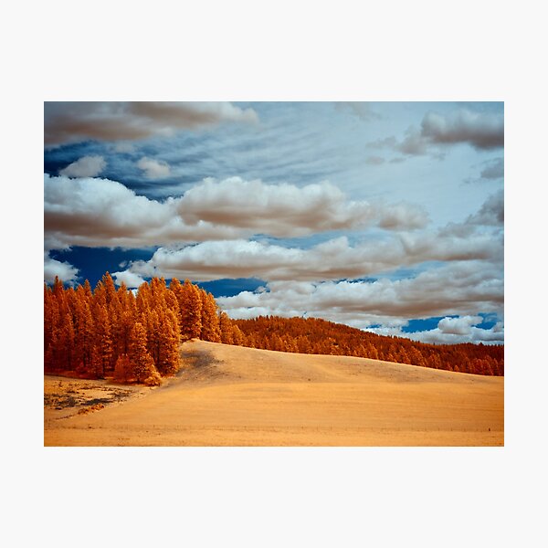 Item preview, Farmland in Yellow 1 designed and sold by Cblifeisgood.