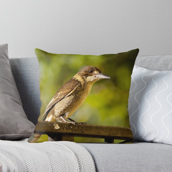 Item preview, Australian Grey Butcher Bird. designed and sold by johnrf.