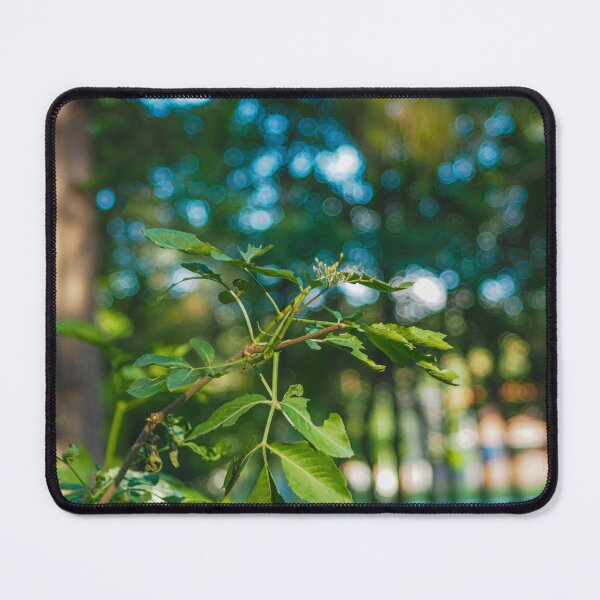Item preview, Turist Park Samokov bulgaria designed and sold by oleg gendel.