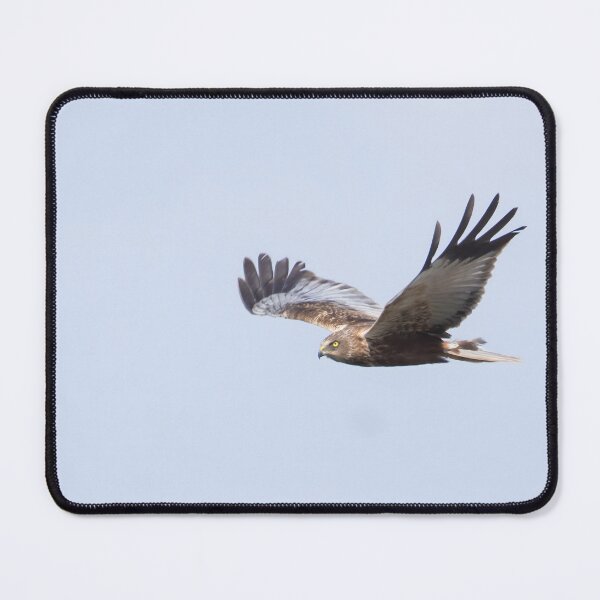 Item preview, Marsh Harrier designed and sold by LaurenTucker.