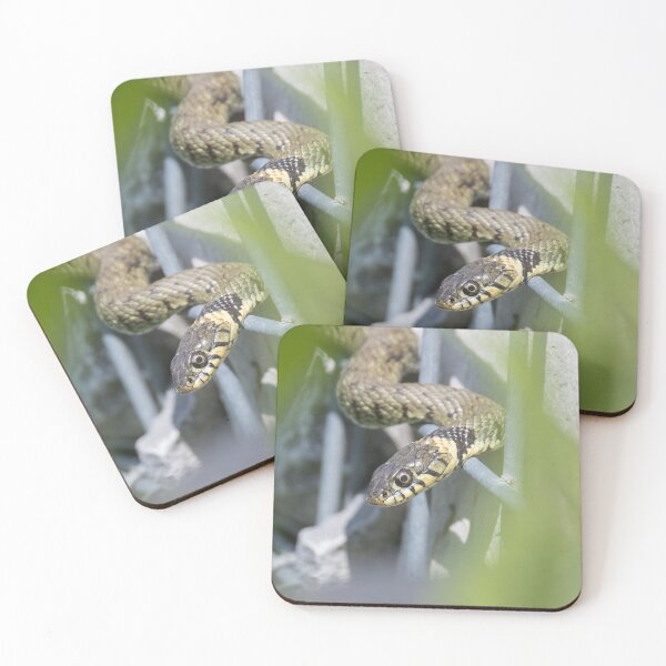 Item preview, Grass Snake designed and sold by LaurenTucker.