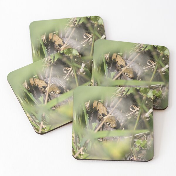 Item preview, Grass Snake designed and sold by LaurenTucker.