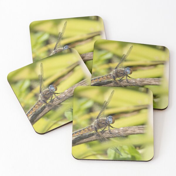 Item preview, Scarce Chaser designed and sold by LaurenTucker.