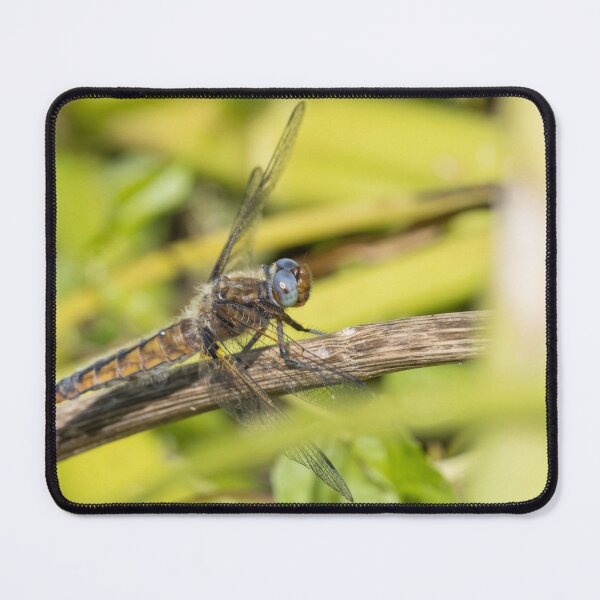 Item preview, Scarce Chaser designed and sold by LaurenTucker.
