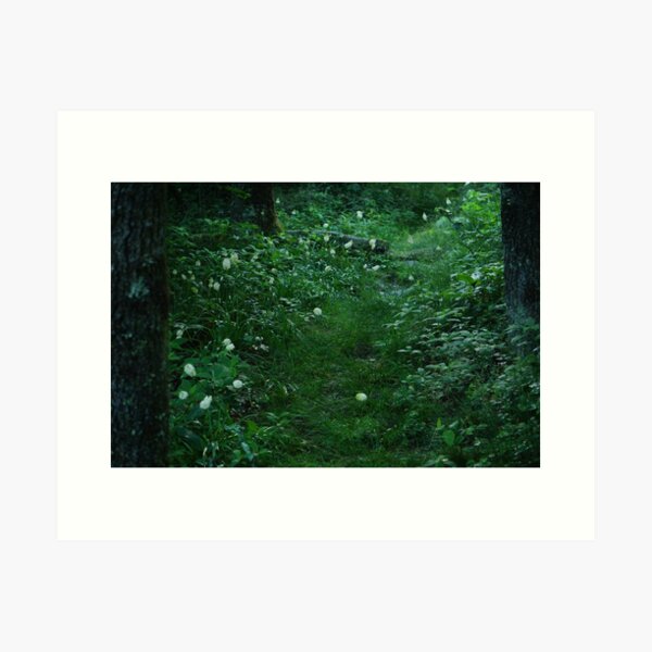 Fly Poison Forest Path I Art Print