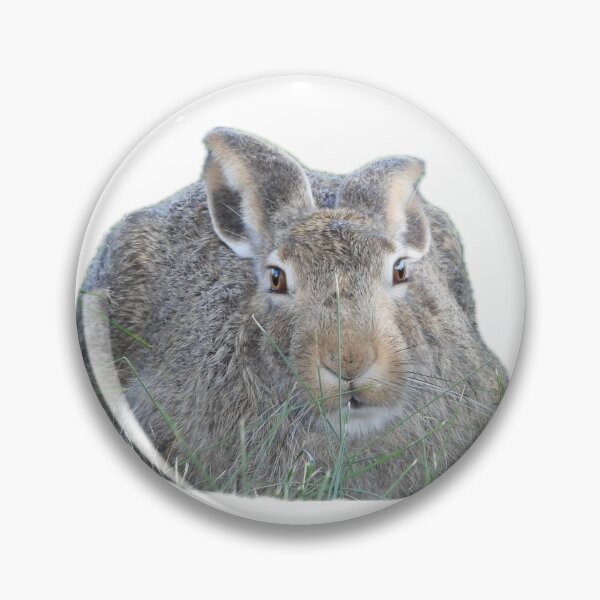 Item preview,  Bunny designed and sold by Ashley’sAnimalz.