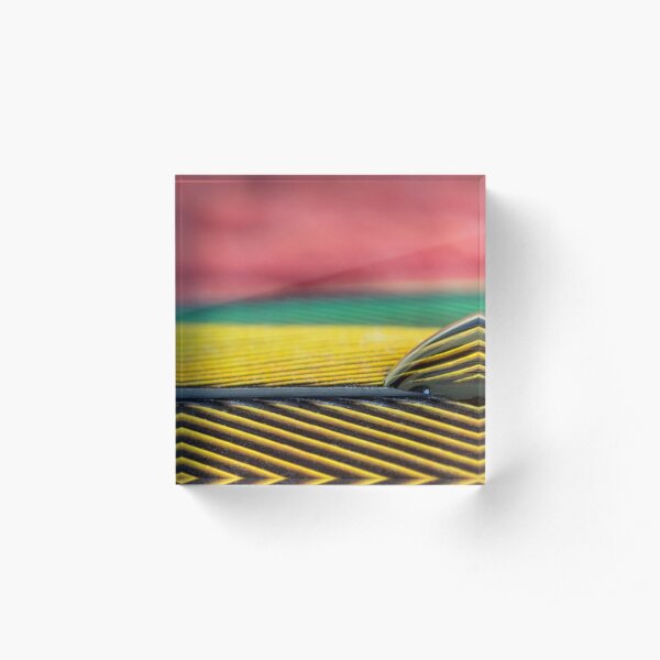 Parrot Pattern Acrylic Block