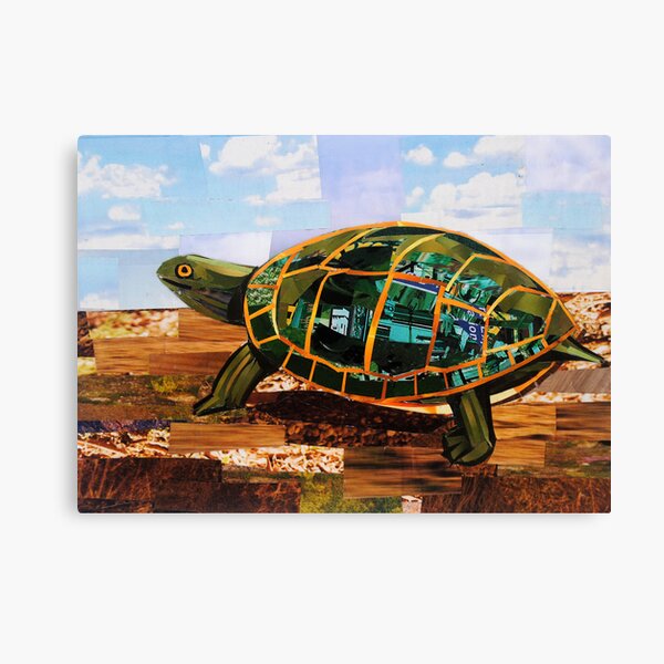 Slow and Steady Canvas Print