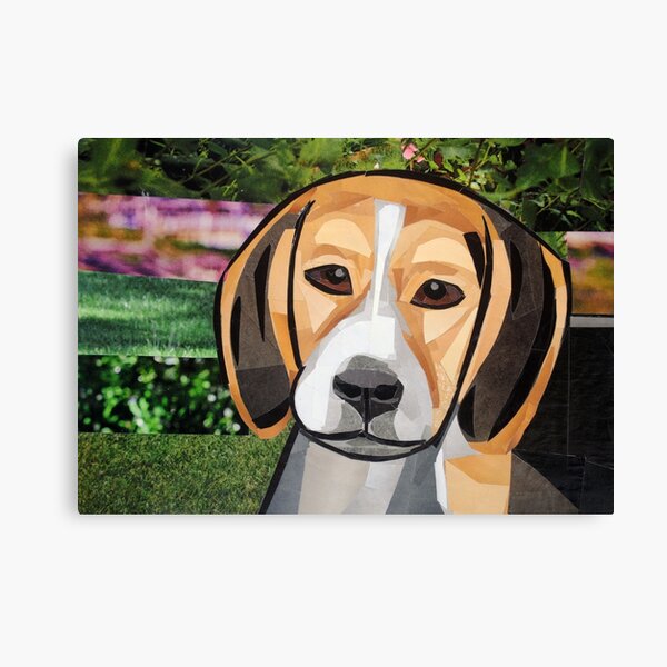 The Contemplative Beagle Canvas Print