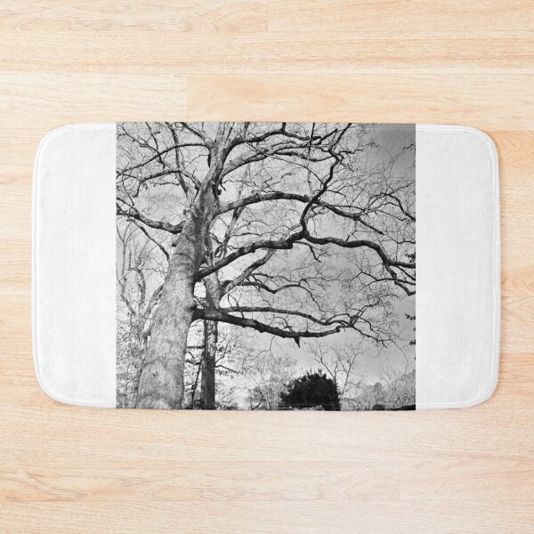 Item preview, Majestic Old Tree Black And White designed and sold by LisaWootenPhoto.
