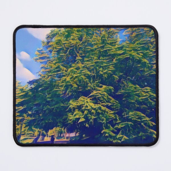 Item preview, #09 Rembrandt Park - Amsterdam - Street Photography 24 May 2024 designed and sold by IntFix.