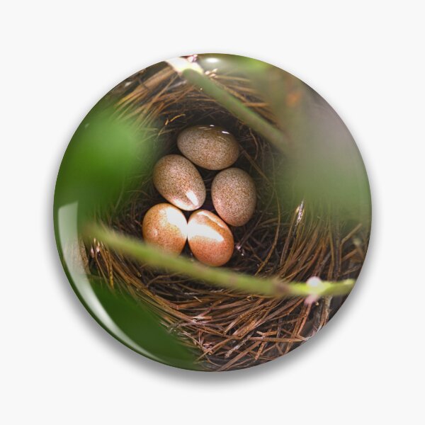 Item preview, Brown Thrasher Eggs Hidden Away designed and sold by LisaWootenPhoto.