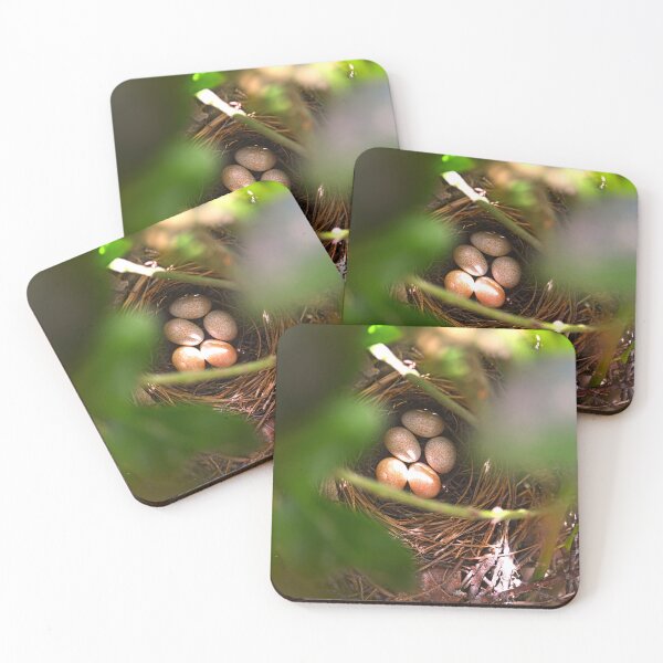 Item preview, Brown Thrasher Eggs Hidden Away designed and sold by LisaWootenPhoto.