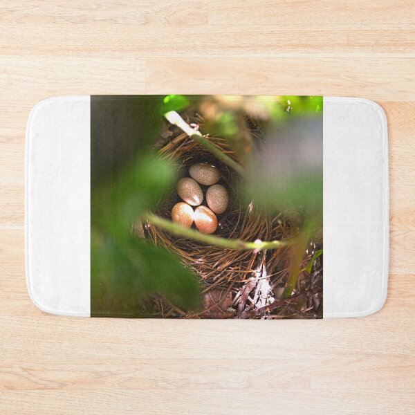 Item preview, Brown Thrasher Eggs Hidden Away designed and sold by LisaWootenPhoto.