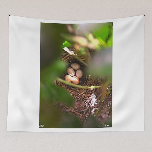Item preview, Brown Thrasher Eggs Hidden Away designed and sold by LisaWootenPhoto.