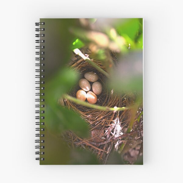 Item preview, Brown Thrasher Eggs Hidden Away designed and sold by LisaWootenPhoto.
