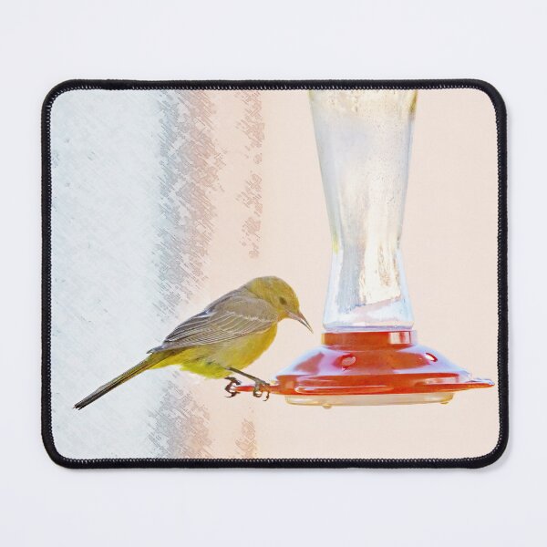 Item preview, Hummingbird Feeders Are Not Just for Hummingbirds designed and sold by CarolM.