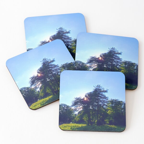 Item preview, #12 Rembrandt Park - Amsterdam - Street Photography 24 May 2024 designed and sold by IntFix.