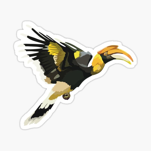 Item preview, G is for Great Hornbill  designed and sold by thezoogirl.