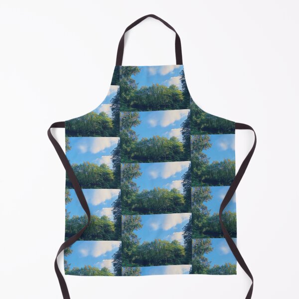 Item preview, #16 Rembrandt Park - Amsterdam Street Photography 22 May 2024 designed and sold by IntFix.