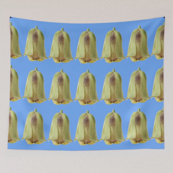 Item preview,  Fritillaria acmopetala AGM Pointed-petal fritillary designed and sold by Chris Burrows.