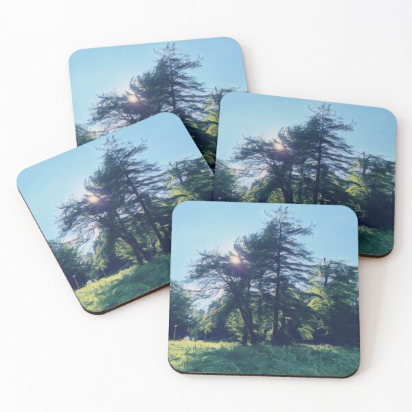 Item preview, #19 Rembrandt Park - Amsterdam Street Photography 22 May 2024 designed and sold by IntFix.